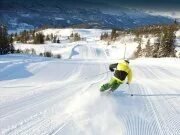 Ski Frvr Game Online